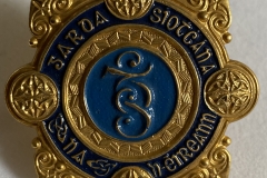 Garda Cap Badge